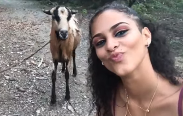 ¡Cabra embiste a Chica y Arruina Selfie!