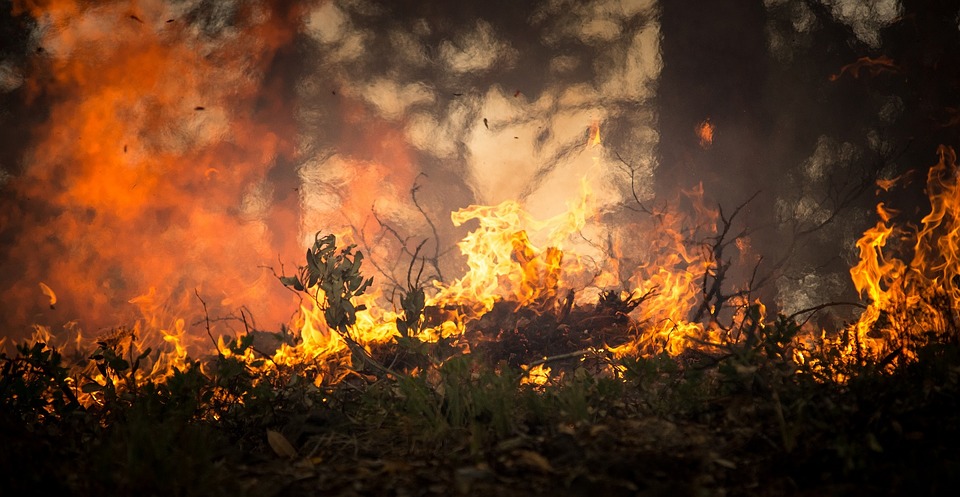 ¡Incendio Impresionante! El fuego en el Amazonas se ve desde el espacio