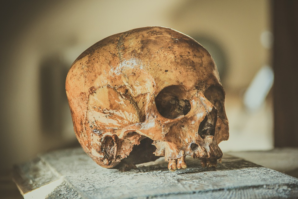 ¡Sacrificio de Niños!: Arqueólogos descubre restos del mayor sacrificio de infantes en la historia