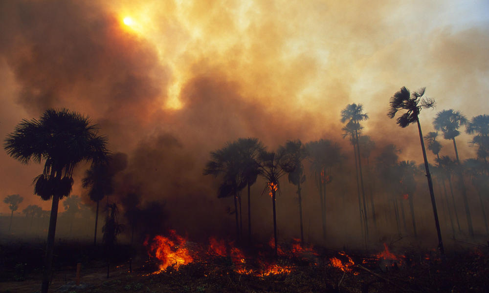 Incendios del amazonas siguen en pie. Estudios afirman que estos seguirán aumentando.
