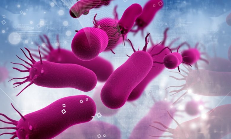 Peste-Negra-Plaga-bacteria-China-Chino-Gobierno-