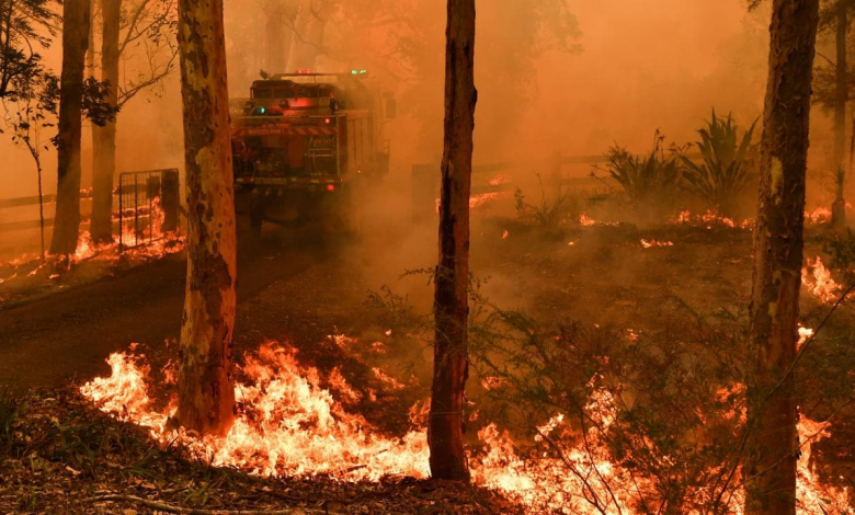 ¿Sydney se incendia?: Australia sin agua parte 2