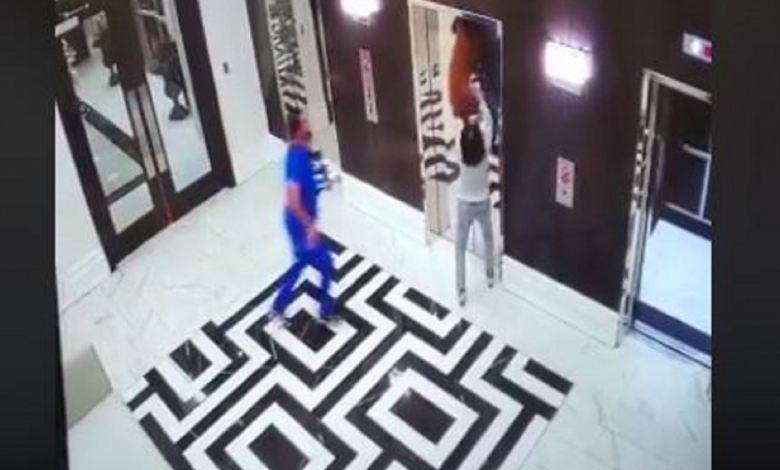 Doctor salva a un perro que iba a ser ahorcado por un ascensor