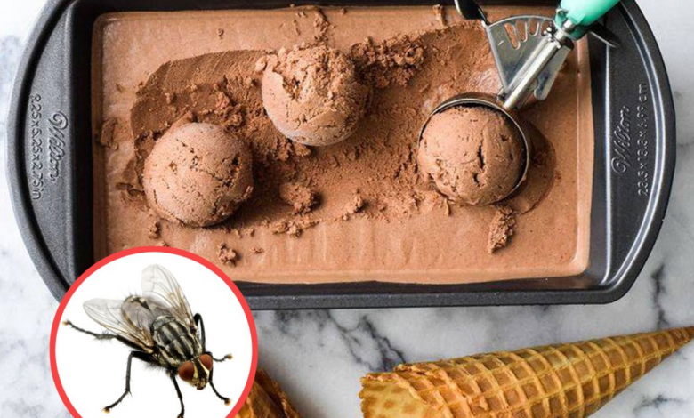 Helado de insectos: ¿El nuevo lujo gourmet?