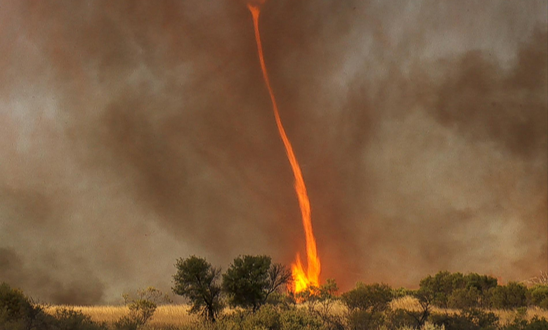 ¿Tornados de Fuego aparecen en Australia?