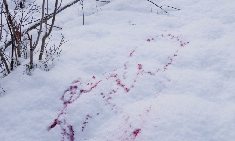 Niños lanzan bolas de nieve a un carro, éste responde con disparos