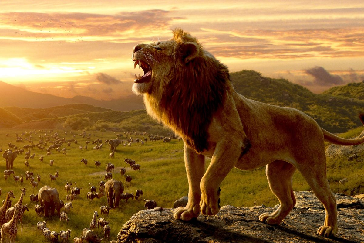 Disney Demando A Una Caridad Que Emitio El Rey Leon En Publico