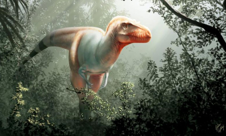 Granjero descubrió nueva especie de Tiranosaurio en Canadá