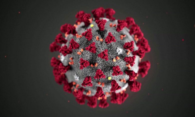 Guía absoluta contra el Coronavirus: Cortesía del Dr. Elmer Huerta