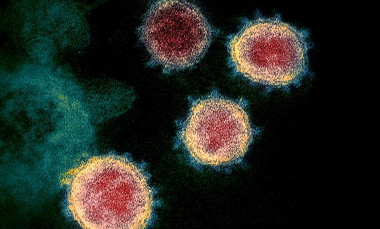 Descartan que el coronavirus sobreviva en las superficies