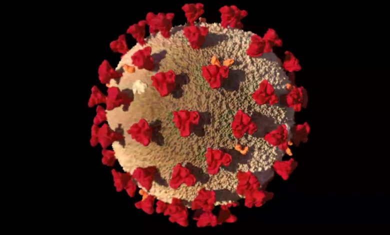 Panorama complicado: el virus no desaparecerá pronto