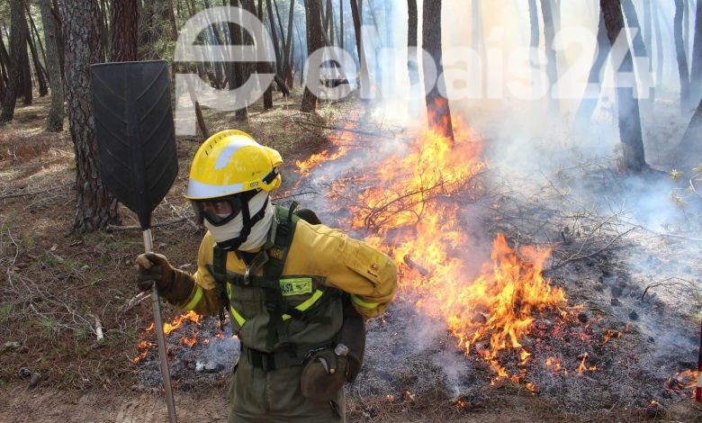 California: coronavirus, incendios y altas temperaturas