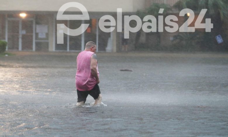 Tormenta tropical Sally: devastador paso por los E.E.U.U